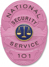 Cancer Awareness Oval badge S36_PK